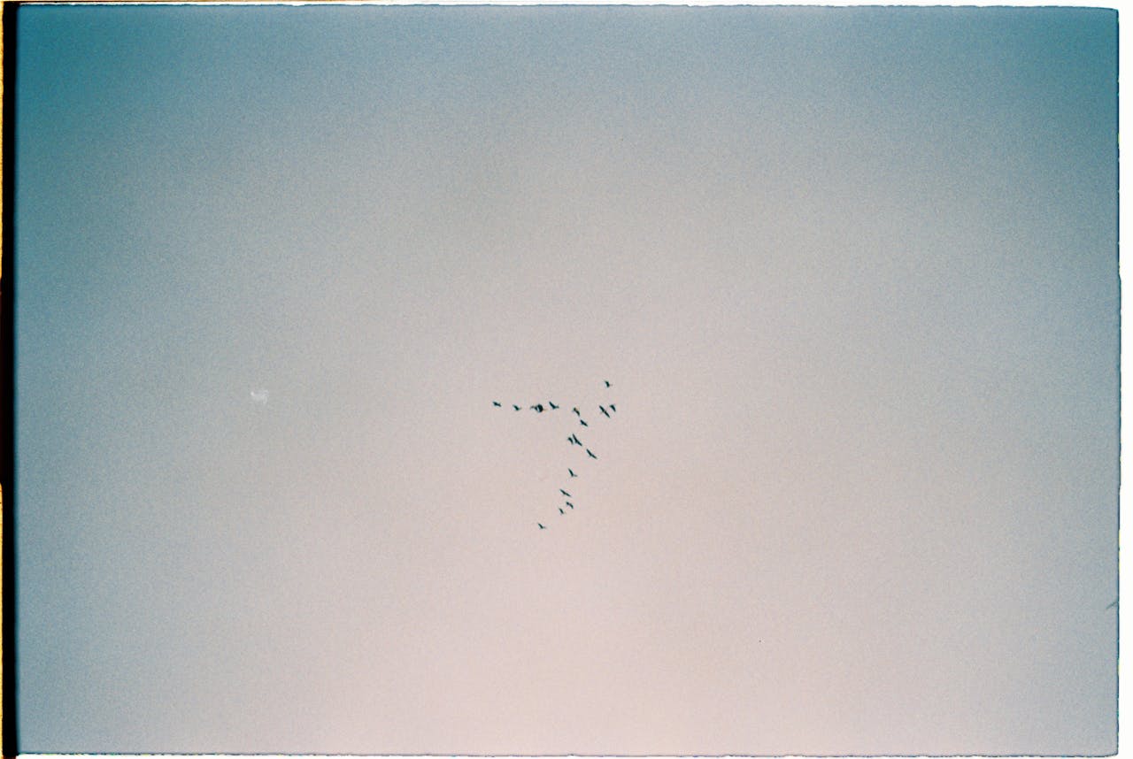 All that which you left behind