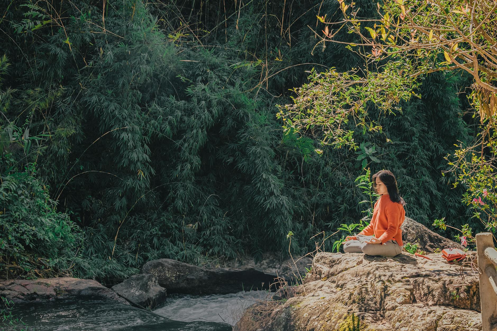 Mindfulness as a pathway to healing (scoping review)